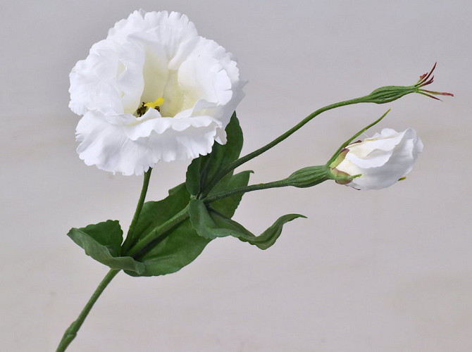 Lisianthus 38cm Blanc