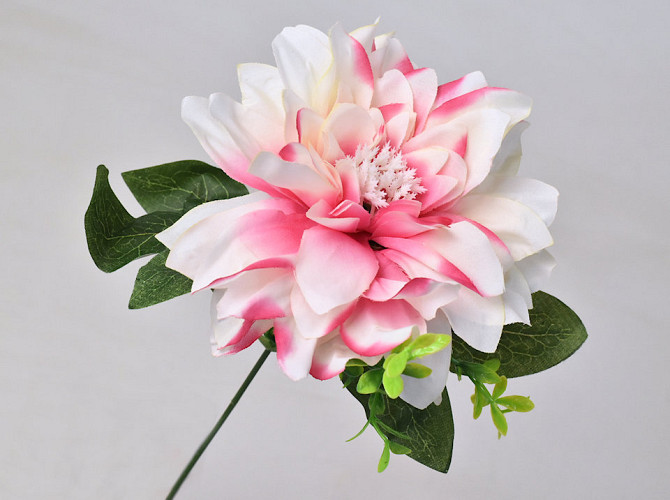 Dahlia D14cm Pink