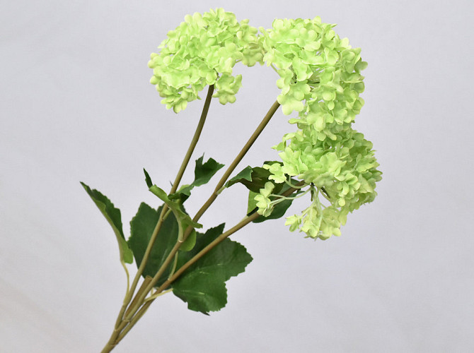 Hydrangea 3pcs Green 72cm