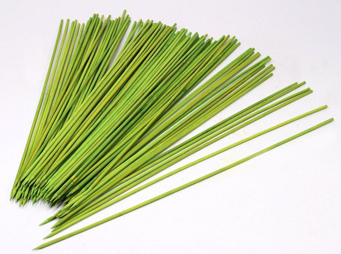 Bamboo Stick 60cm lime green