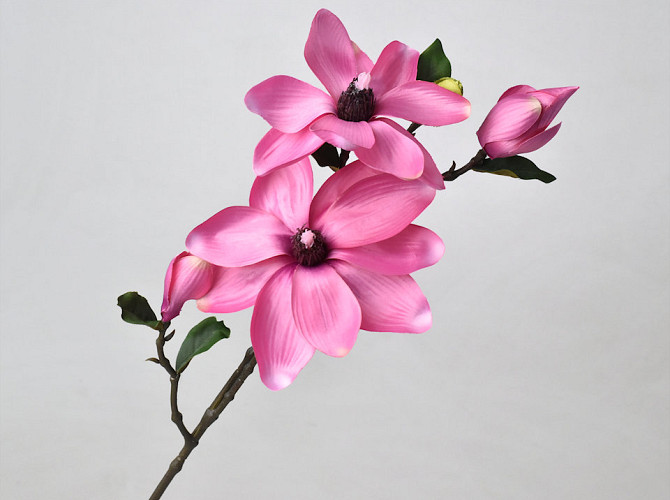 Magnolien Zweig Rosa 75cm