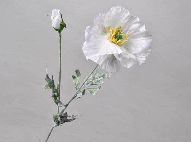 Poppy Flower White 64cm