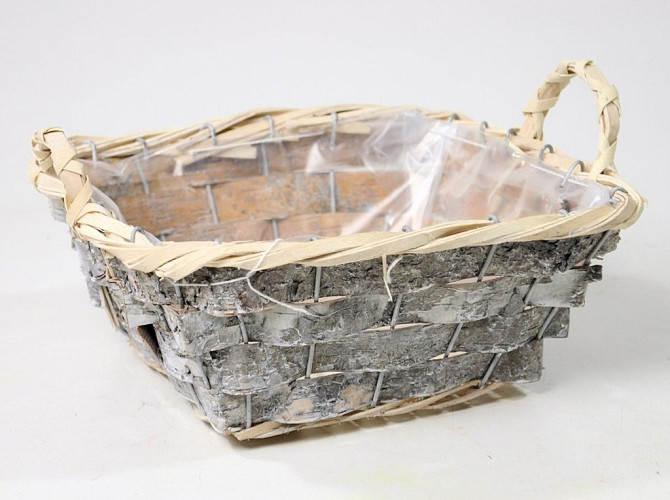 Plant Tray Square 22cm