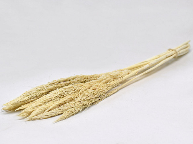 Nanal grass 75cm Bleached