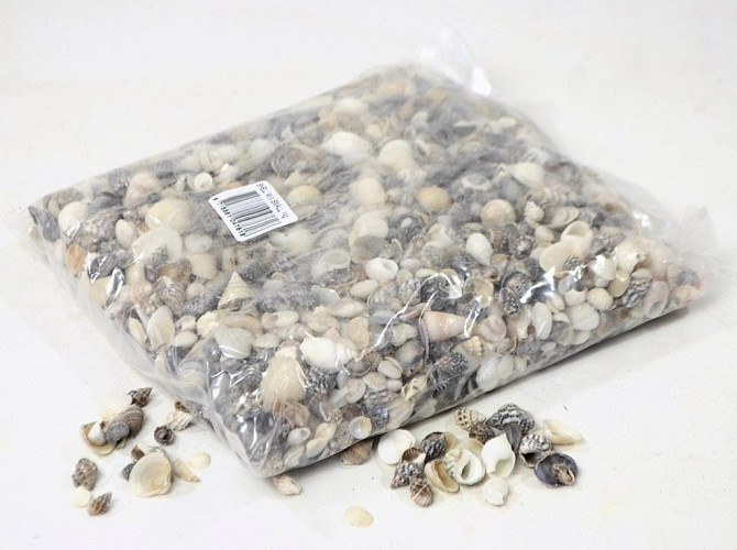 Shells Small Mix 1kg