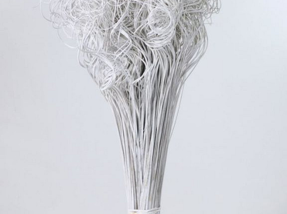 Curly Ting White 300 Stems