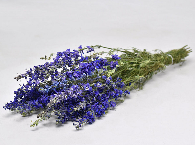 Delphinium Mix Blau 65cm