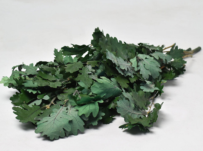 Oak Leaves Green 50-60cm