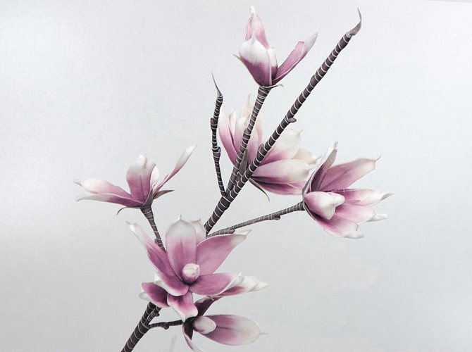 Foam Magnolia White/Lilac, D 18cm