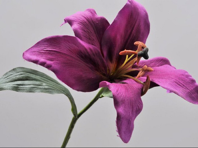 Lily Stem Lavend 33cm