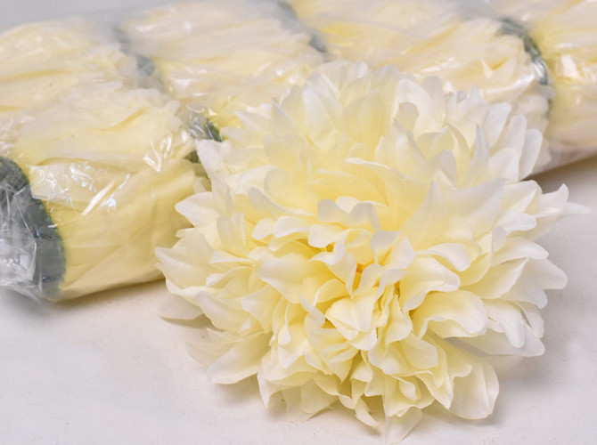 Chrysanthème D16cm Crème