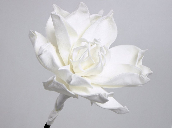 Blume Schaumstoff 75cm Weiss