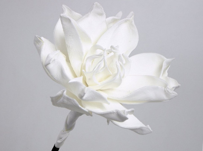 Fleur en mousse 75cm Blanc