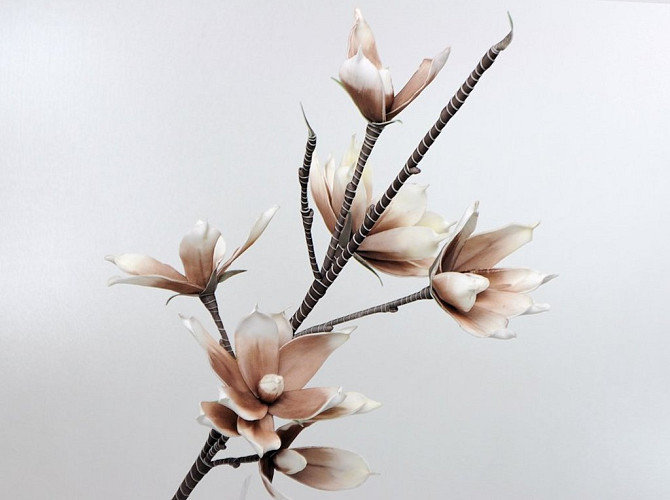 Schaumstoff Magnolia Weiß/Mocca, D 18cm