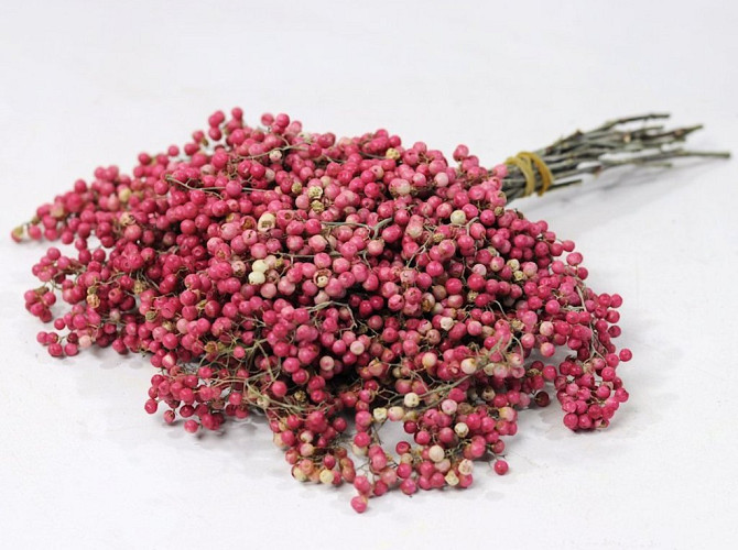 Pepperberries Pink 25-35cm