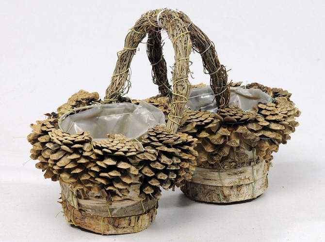 Birch Planter Double 20cm
