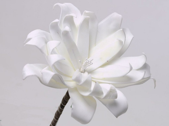 Foam flower 24cm white