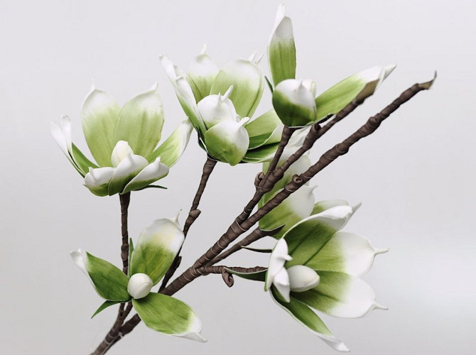 Schaumstoff Magnolia Weiß/Grün, D 18cm
