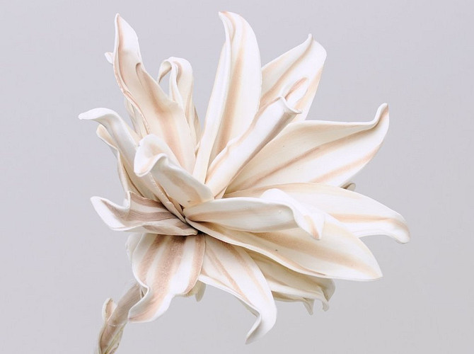 Fleur en mousse 80cm blanc/marron