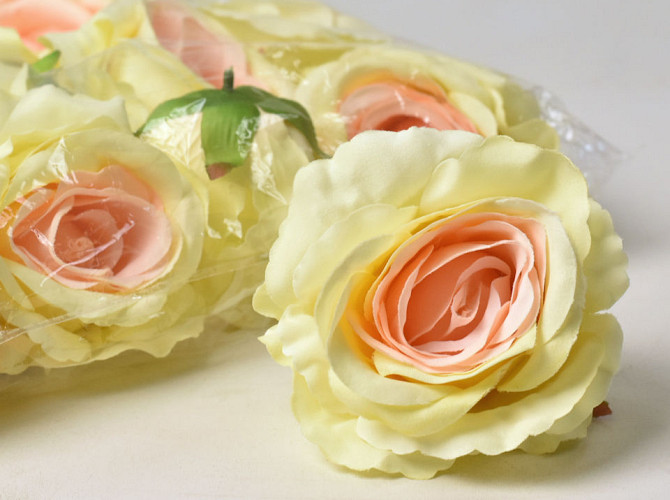 Rose Pastell Gelb/Lachs D10cm 