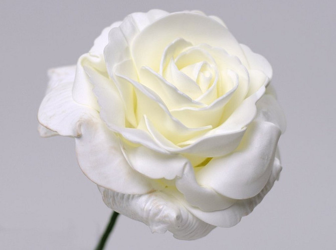 Rose en Mousse XL Blanc, D 13cm
