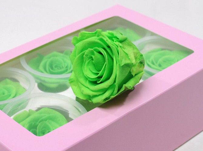 Rose Heads 6cm green glow