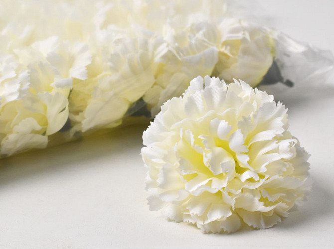 Carnation D9cm White/Yellow