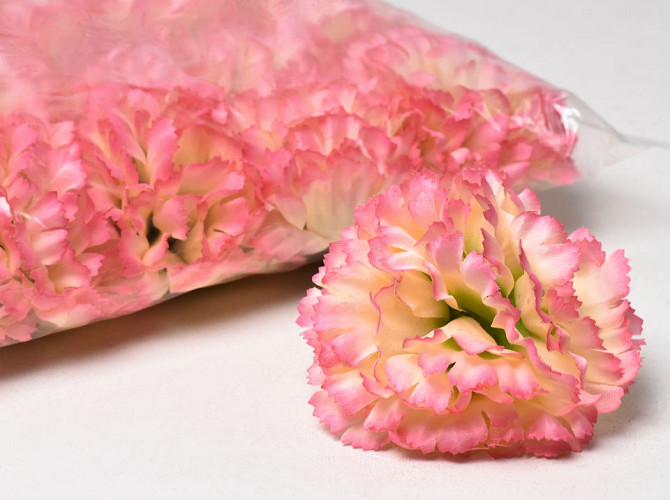 Carnation D9cm Pink/Yellow