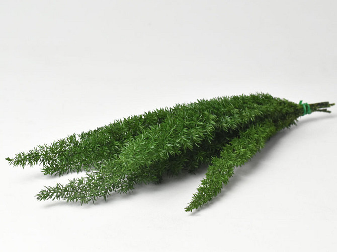 Foxtail Green 40cm