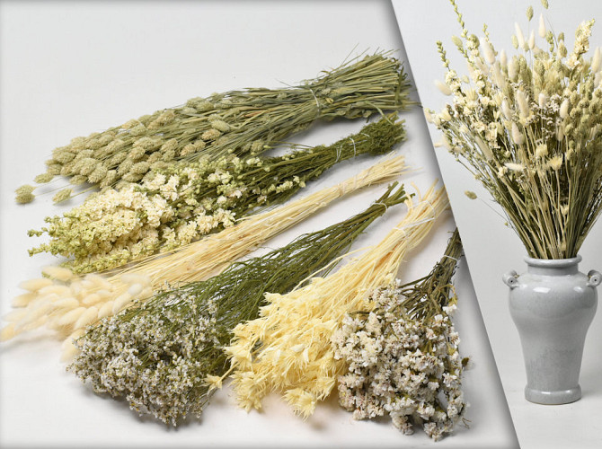 DIY Dried Flower Bouquet XL White/Natural