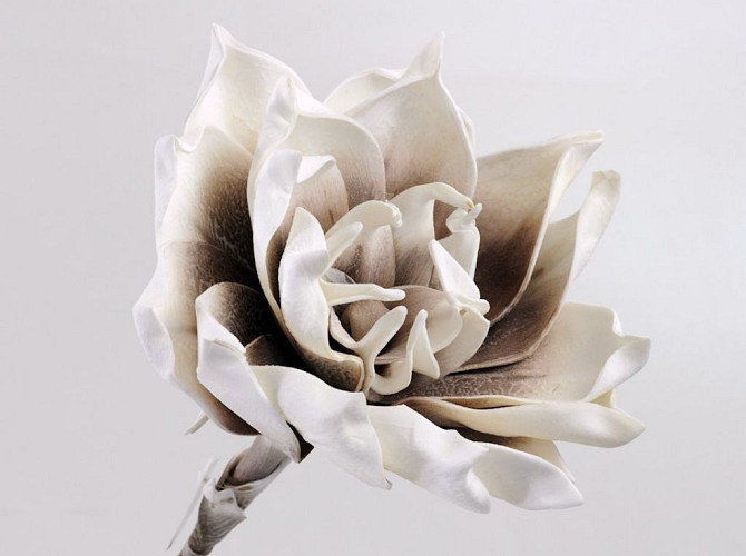 Foam Flower 75cm White-Mocca