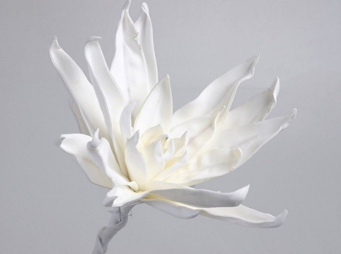 Fleur en mousse Blanc, D 35cm