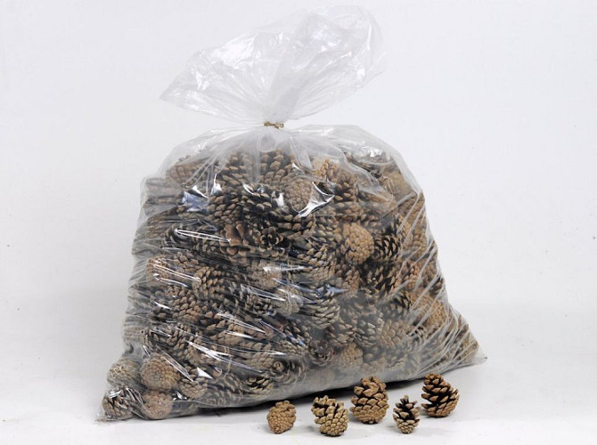 Mini Zapfen 5Kg