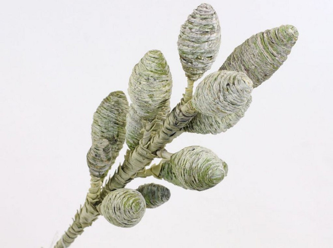 Decorum 100cm Green