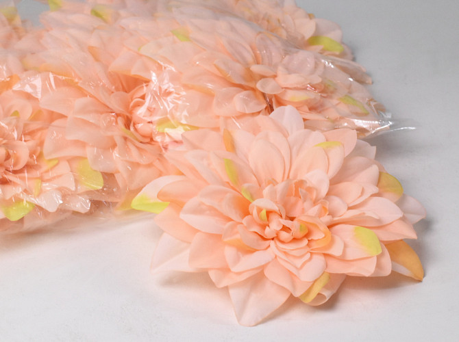 Dahlia D20cm Pastel Peach