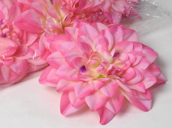 Dahlia D20cm Pink