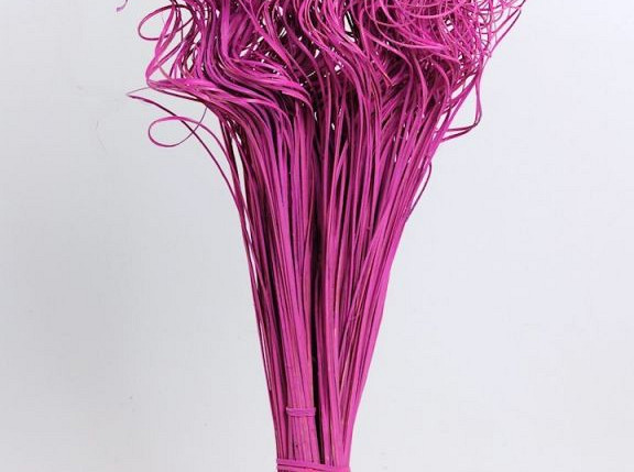 Curly Ting Hot Pink 300 Stems