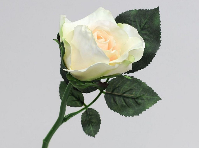 Roose 30cm Blanc