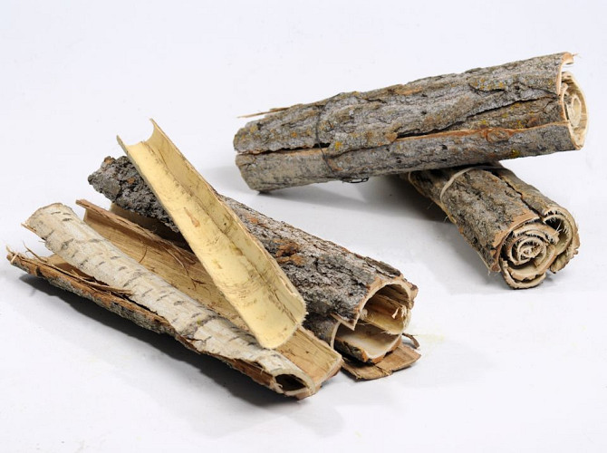 Poplar Bark