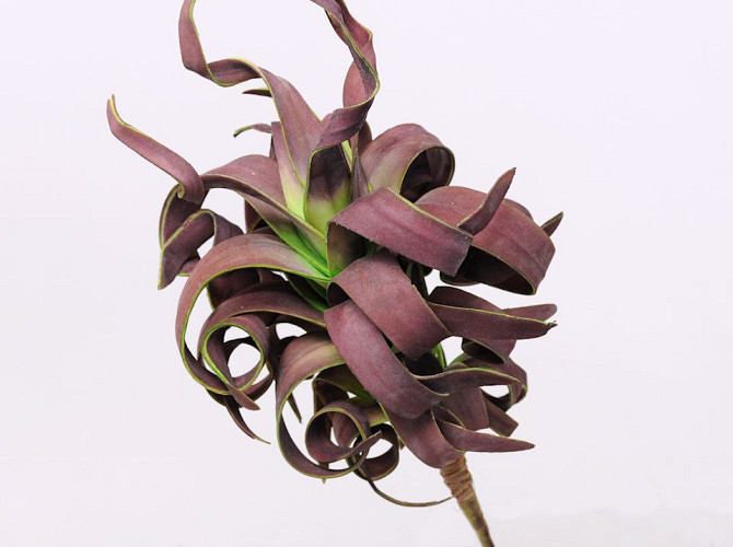 Foam Plant 45cm brown-green