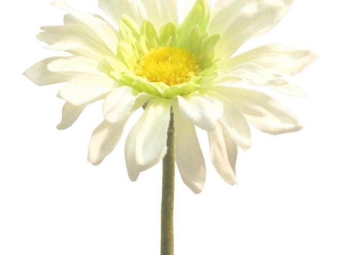 Gerbera 34cm Weiss