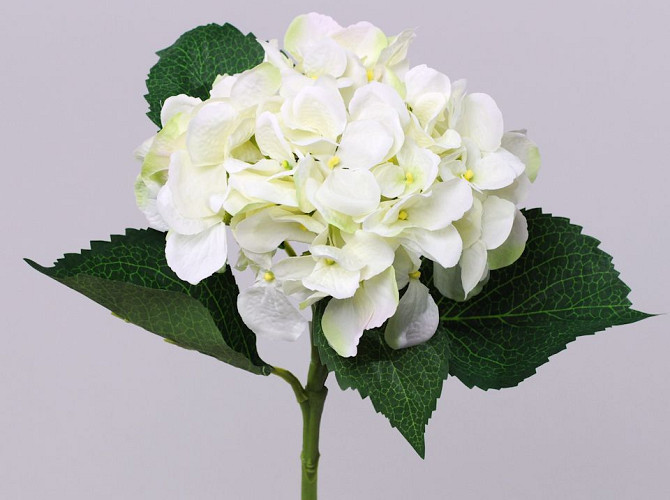 Hydrangea 52cm white
