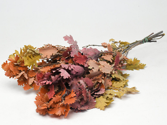 Oak Leaves Mix 50-60cm