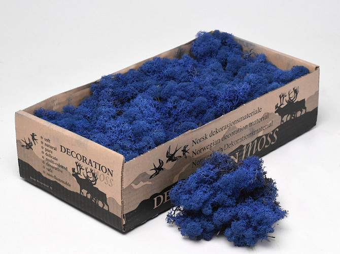 Reindeer Moss Royal Blue 500gr.