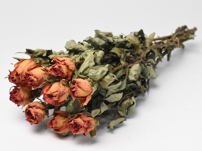 Roses Jaune-Rose 50cm, 10 pièces par bouquet