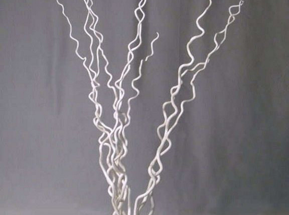 Kuwa gebleekt 115cm