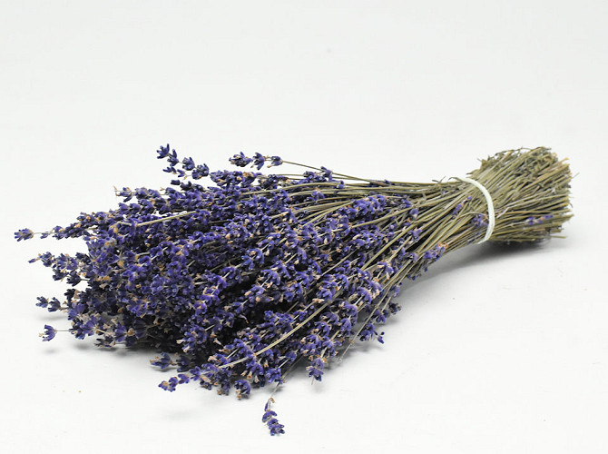 Getrockneter Lavendel  70gr, 25cm