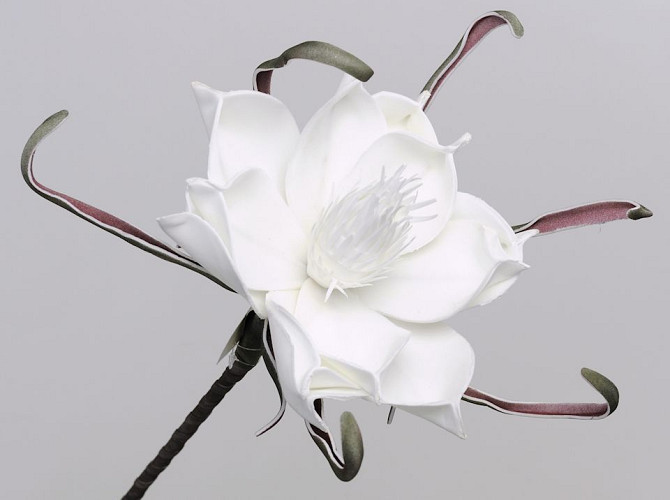 Foam Flower White, D 20cm