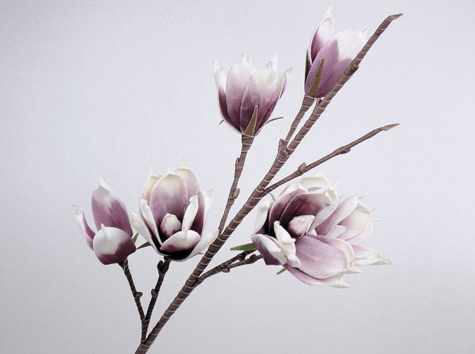 Magnolia en mousse Blanc/Lila