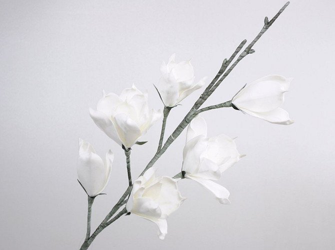 Foam Magnolia White, D 18cm